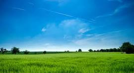 100 meters long land from Jalna Road near Mahaveer Steel Depo